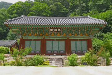 괴산 송덕리 미선나무 자생지 여행 추천 - 메고지고