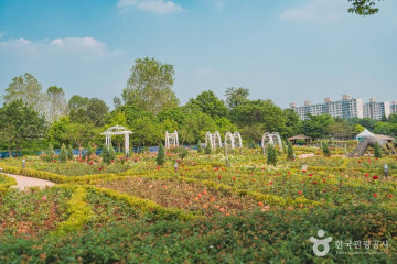 국립중앙박물관 전통염료식물원 여행 추천 - 메고지고