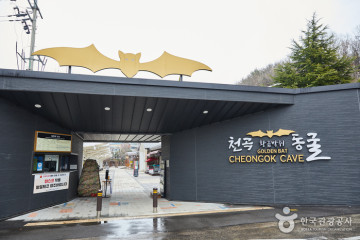 천곡천연동굴 자연학습체험공원 여행 추천 - 메고지고