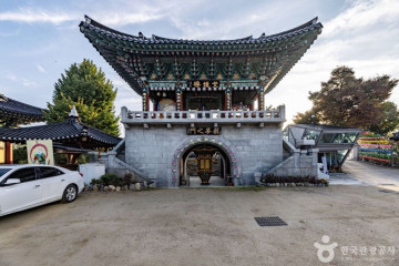 무심천 벚꽃 거리 여행 추천 - 메고지고
