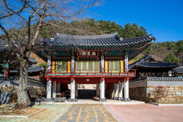 삼척 가시오가피마을 여행 추천 - 메고지고