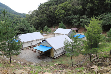 욜로캠프 여행 추천 - 메고지고