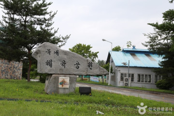 신라컨트리클럽 여행 추천 - 메고지고