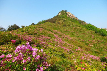 거창사건역사교육관 여행 추천 - 메고지고