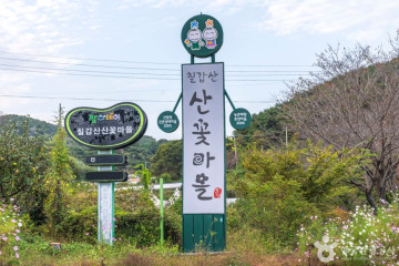 백제문화체험박물관 여행 추천 - 메고지고