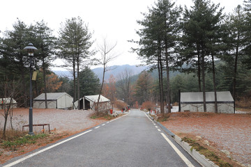 클럽프리모 여행 추천 - 메고지고