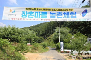 용덕사 여행 추천 - 메고지고