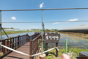용산서원(동해) 여행 추천 - 메고지고