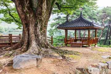 노계서원 여행 추천 - 메고지고
