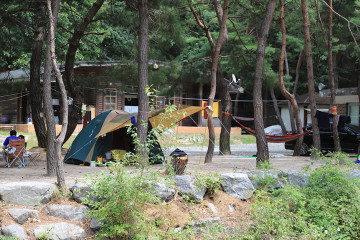 큰삼촌농촌체험 여행 추천 - 메고지고
