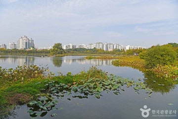 수원KT위즈파크 여행 추천 - 메고지고