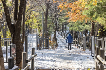 양천구 갈산도서관 여행 추천 - 메고지고