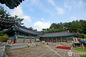 대전 동구문화원 여행 추천 - 메고지고