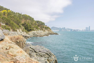 용호별빛공원 여행 추천 - 메고지고