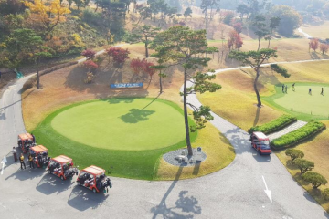 용인자작나무숲 여행 추천 - 메고지고
