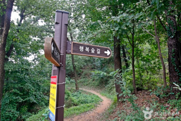 대전아쿠아리움 여행 추천 - 메고지고