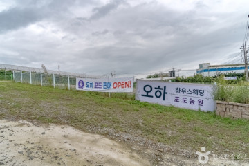 인처골마을 여행 추천 - 메고지고