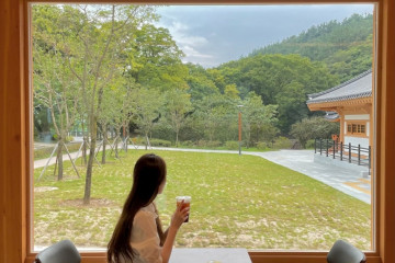 송호지공원 여행 추천 - 메고지고