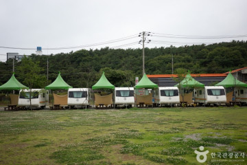 안산대부광산퇴적암층 여행 추천 - 메고지고