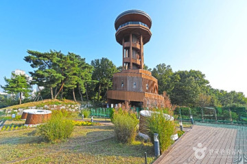 광교호수공원 반려견 놀이터 여행 추천 - 메고지고