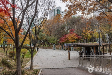 뉴서울 다이빙 풀 여행 추천 - 메고지고