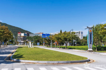 덕산 메타세쿼이아길 여행 추천 - 메고지고