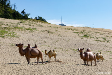 대청도 농여해변 여행 추천 - 메고지고