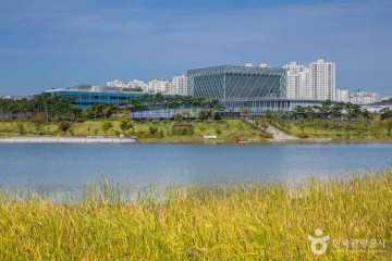 국립세종도서관 여행 추천 - 메고지고