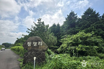 캐슬렉스제주 골프클럽 여행 추천 - 메고지고