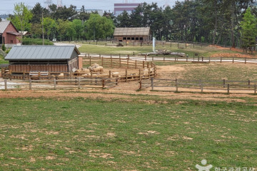 구시포마을 여행 추천 - 메고지고