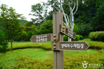 정약용도서관 여행 추천 - 메고지고