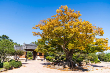 서산 경주김씨 고택 여행 추천 - 메고지고
