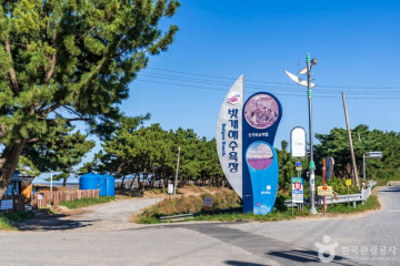 안면도 여행 추천 - 메고지고