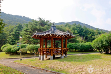 동월계곡 여행 추천 - 메고지고