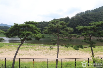 햇살아래캠핑장 여행 추천 - 메고지고