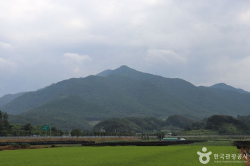 솔밭캠프 여행 추천 - 메고지고