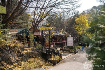 남한산성벚꽃길 여행 추천 - 메고지고