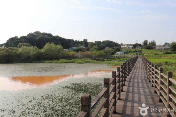 신평양조장 백련 양조문화원 여행 추천 - 메고지고