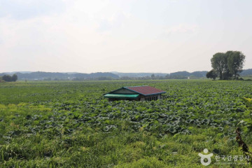 신평양조장 백련 양조문화원 여행 추천 - 메고지고