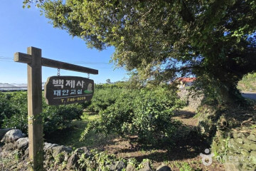 아이바가든 여행 추천 - 메고지고