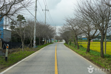 솔라고CC 여행 추천 - 메고지고