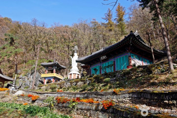 임경업 장군 묘소 여행 추천 - 메고지고