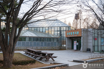 일산호수공원 노래하는분수대 여행 추천 - 메고지고