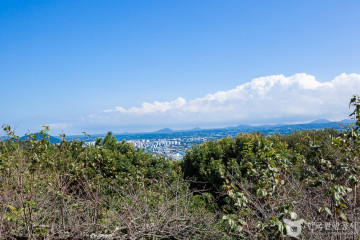 보림사(제주) 여행 추천 - 메고지고