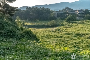 강릉 솔향수목원 여행 추천 - 메고지고