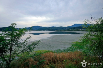 충남카누협회 여행 추천 - 메고지고