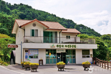 박달재 여행 추천 - 메고지고