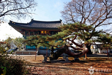충주 임충민공 충렬사 여행 추천 - 메고지고