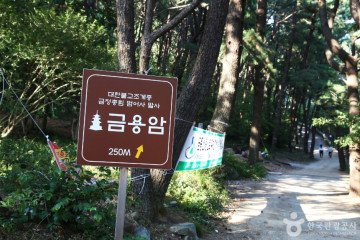 부산 아시아드주경기장 여행 추천 - 메고지고