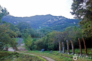 산꽃벚꽃마을오토캠핑장 여행 추천 - 메고지고